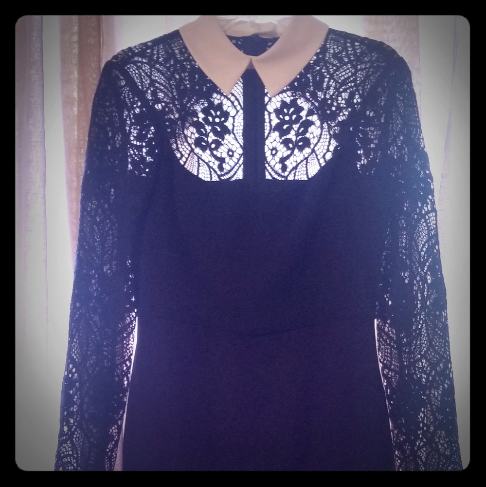 BCBG M
